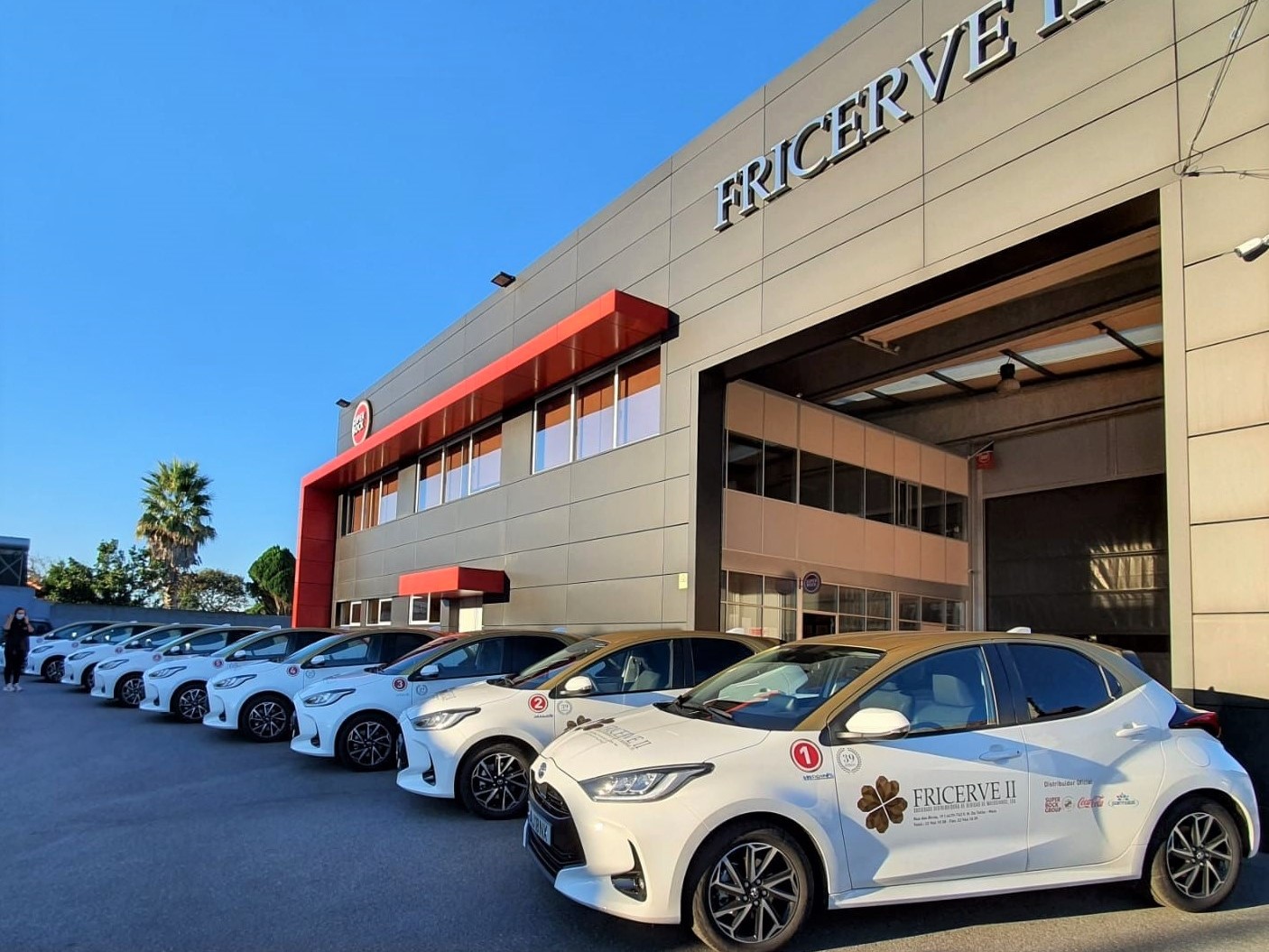 fricerve