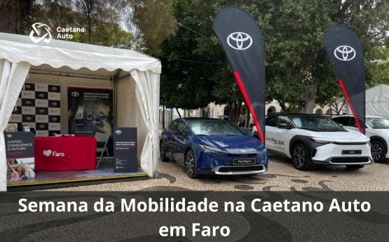 AGENDA (12)