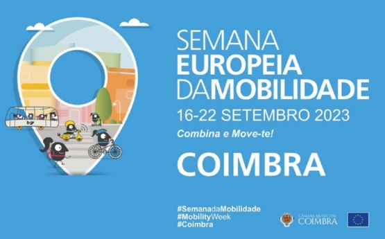 AGENDA (6)